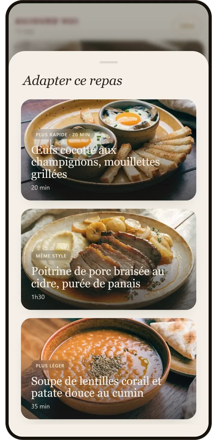 Trois alternatives proposées par l'application ZESTUP